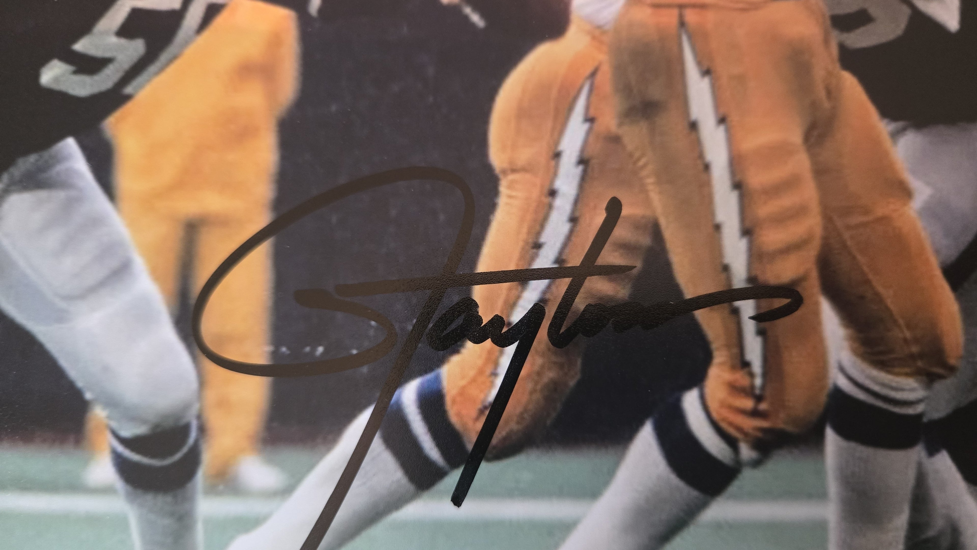 Lawrence Taylor Absolute Authentics Certified Autographed 12x16 Photograph